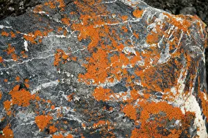 Jonsfjorden: Norway, Svalbard Archipelago, Spitsbergen