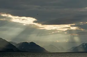 Rays: Norway, Svalbard Archipelago, Spitsbergen