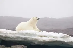Indicator: Norway, Svalbard Archipelago, Spitsbergen