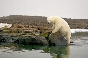 Indicator: Norway, Svalbard Archipelago, Spitsbergen
