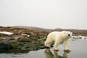 Traveling: Norway, Svalbard Archipelago, Spitsbergen