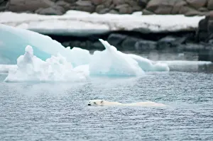 Traveling: Norway, Svalbard Archipelago, Spitsbergen