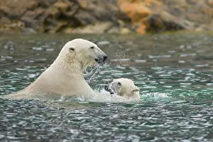 Keystone: Norway, Svalbard Archipelago, Spitsbergen