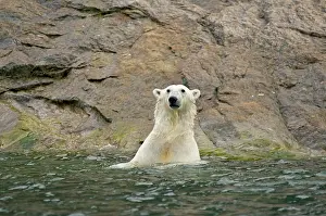 Keystone: Norway, Svalbard Archipelago, Spitsbergen