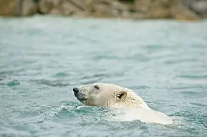 Keystone: Norway, Svalbard Archipelago, Spitsbergen