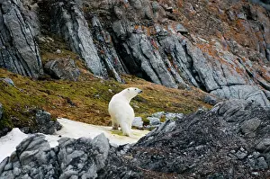 Traveling: Norway, Svalbard Archipelago, Spitsbergen