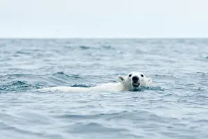 Traveling: Norway, Svalbard Archipelago, Spitsbergen