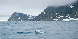 Traveling: Norway, Svalbard Archipelago, Spitsbergen