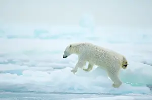 Traveling: Norway, Svalbard Archipelago, Spitsbergen