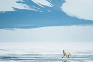 Traveling: Norway, Svalbard Archipelago, Spitsbergen