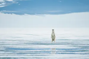 Traveling: Norway, Svalbard Archipelago, Spitsbergen