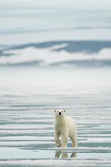 Traveling: Norway, Svalbard Archipelago, Spitsbergen