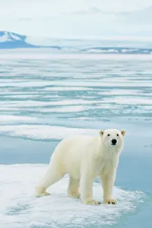 Traveling: Norway, Svalbard Archipelago, Spitsbergen
