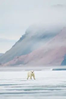 Traveling: Norway, Svalbard Archipelago, Spitsbergen