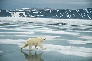 Traveling: Norway, Svalbard Archipelago, Spitsbergen