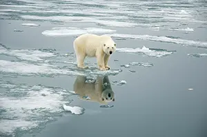 Traveling: Norway, Svalbard Archipelago, Spitsbergen
