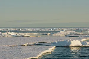 Kazlowski: Norway, Svalbard Archipelago, Spitsbergen
