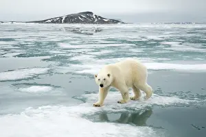 Kazlowski: Norway, Svalbard Archipelago, Spitsbergen