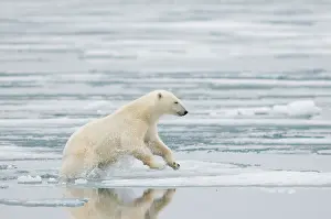 Kazlowski: Norway, Svalbard Archipelago, Spitsbergen