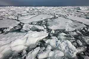 Edgeoya: Norway, Svalbard, Edgeoya Island, Dense