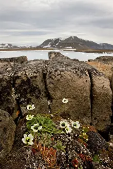 Edgeoya: Norway, Svalbard, Edgeoya Island, Svalbard