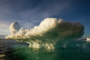 Langoya: Norway, Svalbard, Langoya Island, Setting
