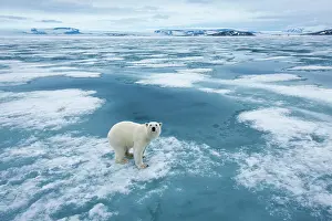 Nordaustlandet: Norway, Svalbard, Nordaustlandet, Polar