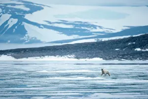 Nordaustlandet: Norway, Svalbard, Nordaustlandet, Polar