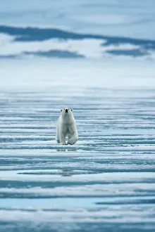 Nordaustlandet: Norway, Svalbard, Nordaustlandet, Polar