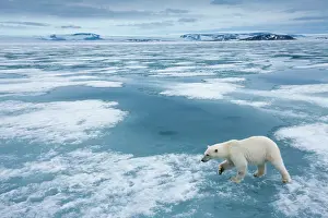 Nordaustlandet: Norway, Svalbard, Nordaustlandet, Polar