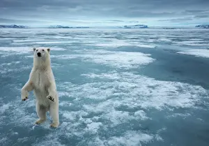 Nordaustlandet: Norway, Svalbard, Nordaustlandet, Polar