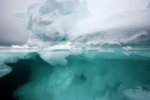 Mystery: Norway, Svalbard, Nordaustlandet, Underwater