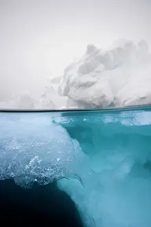 Mystery: Norway, Svalbard, Nordaustlandet, Underwater