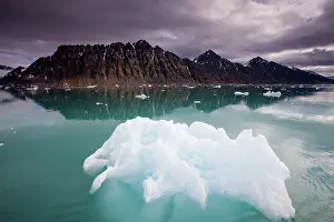 Krossfjorden: Norway, Svalbard, Spitsbergen, Iceberg floating