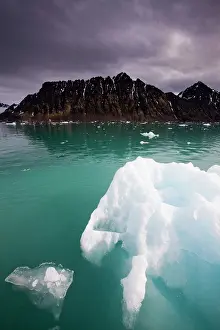 Krossfjorden: Norway, Svalbard, Spitsbergen, Iceberg floating