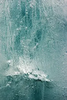 Burgerbukta: Norway, Svalbard, Spitsbergen Island, Detail