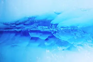 Mystery: Norway, Svalbard, Spitsbergen Island, Close-up