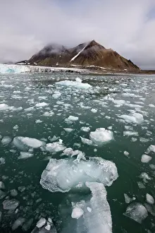 Burgerbukta: Norway, Svalbard, Spitsbergen Island, Icebergs