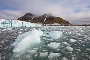 Burgerbukta: Norway, Svalbard, Spitsbergen Island, Icebergs