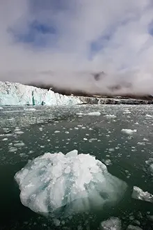 Burgerbukta: Norway, Svalbard, Spitsbergen Island, Small