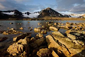 Krossfjorden: Norway, Svalbard, Spitsbergen, Rising midnight