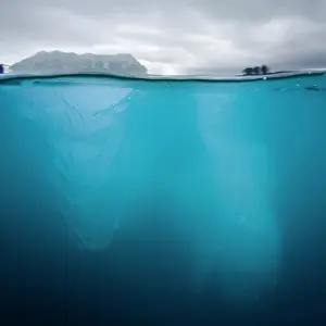 Lilliehookbreen: Norway, Svalbard, Spitsbergen, Underwater