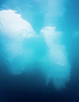 Souders: Norway, Svalbard, Spitsbergen, Underwater