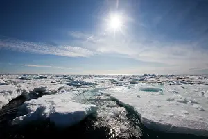 Storfjorden: Norway, Svalbard, Storfjorden Fjord, Floating