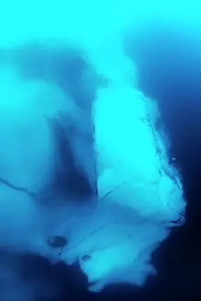 Nordaustlandet: Norway, Svalbard, Underwater view of glacial