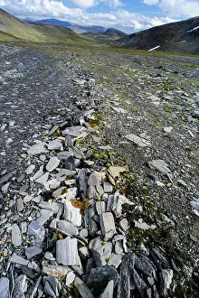 Permafrost: Norway, Troms. Stone stripes a permafrost