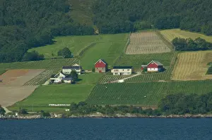 Trondheim: Norway, Trondheimsforden, Trondheim. Coastal