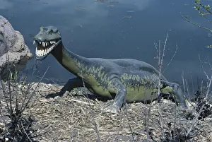 Replica: Nothosaurus