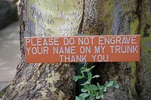Notice: Notice on Tree trunk - Please do not engrave your
