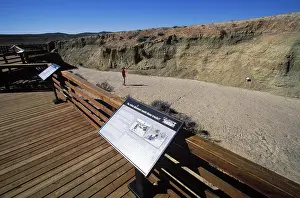 Gully: Numerous dinosaur trackways can be seen on the